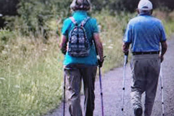 Wesselényi LC Egészségnapja